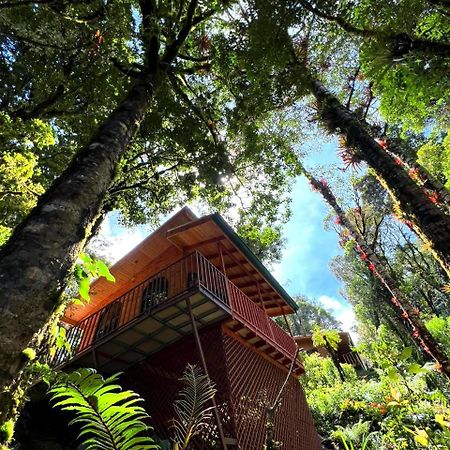 Cabana Anturios San José Exteriér fotografie