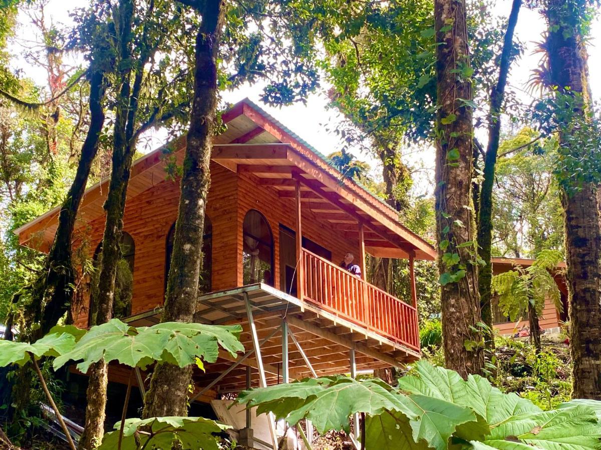 Cabana Anturios San José Exteriér fotografie