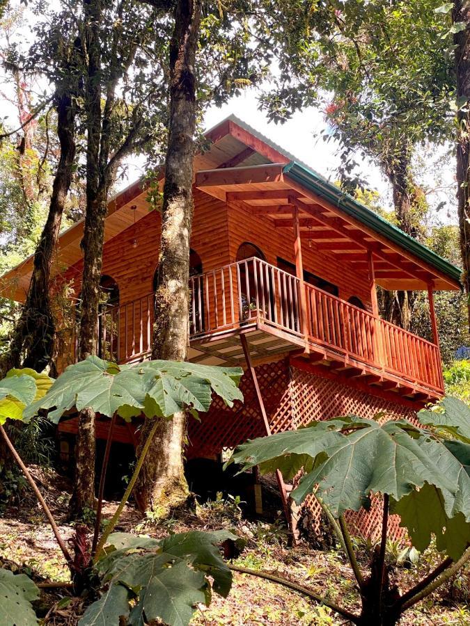 Cabana Anturios San José Exteriér fotografie