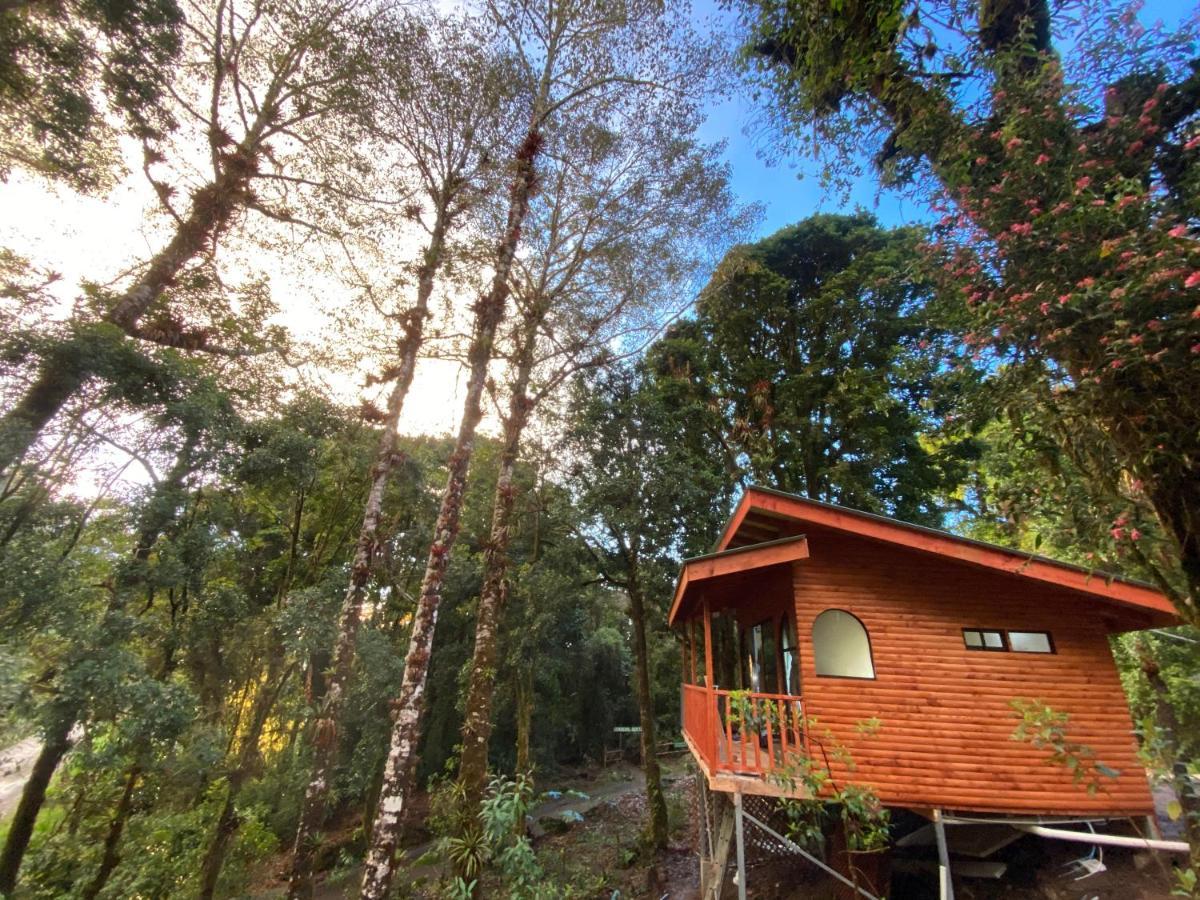 Cabana Anturios San José Exteriér fotografie