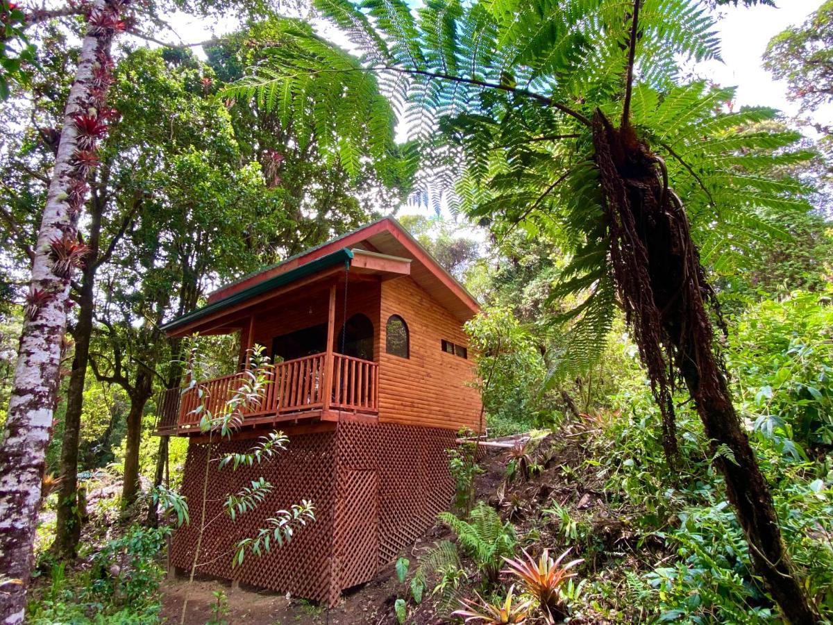 Cabana Anturios San José Exteriér fotografie