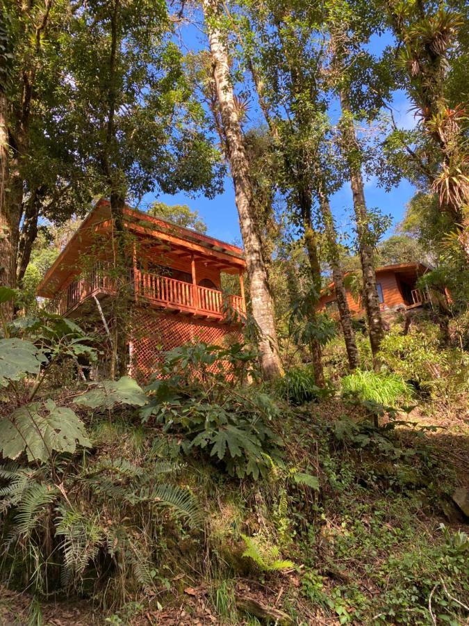 Cabana Anturios San José Exteriér fotografie