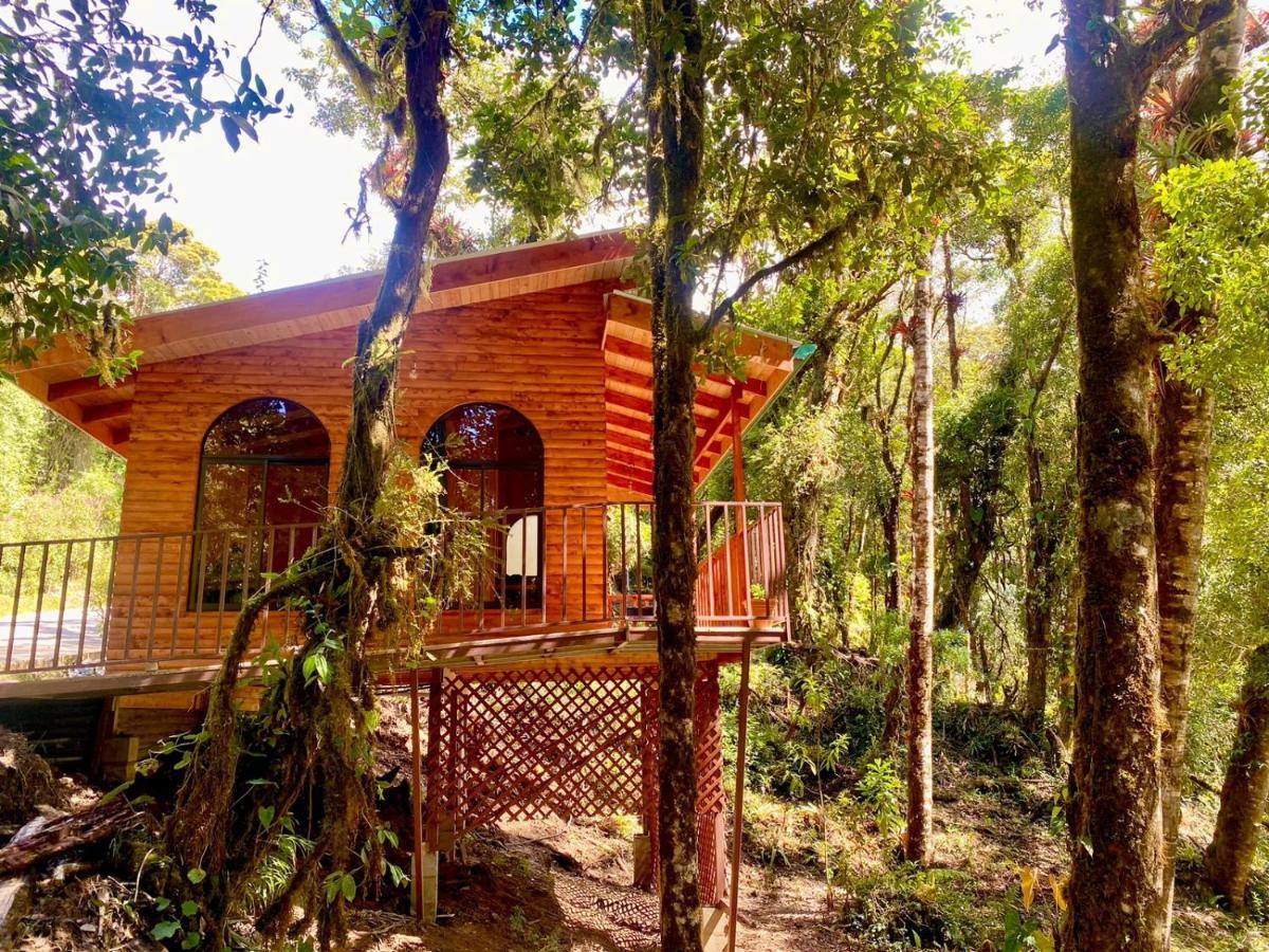 Cabana Anturios San José Exteriér fotografie