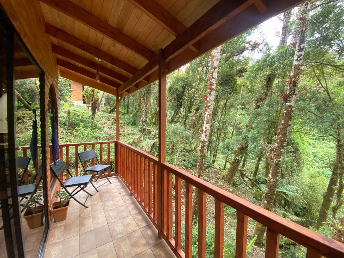 Cabana Anturios San José Exteriér fotografie