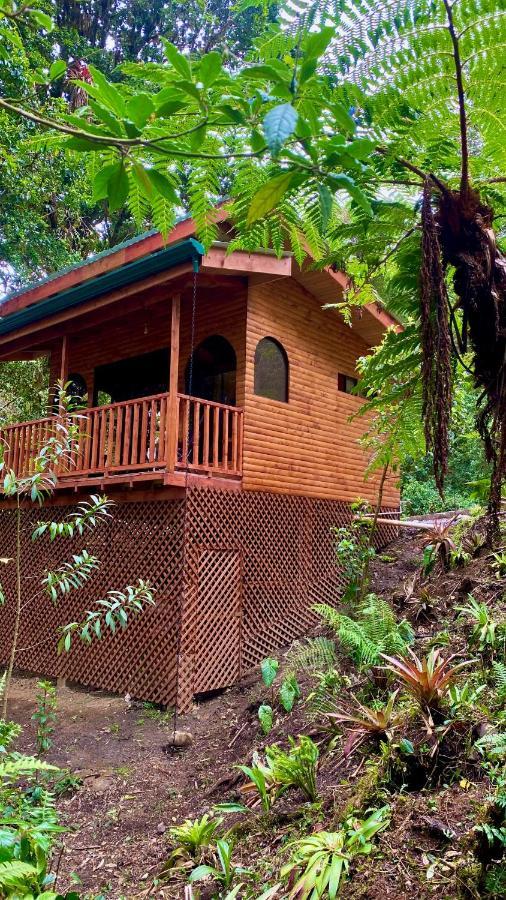 Cabana Anturios San José Exteriér fotografie