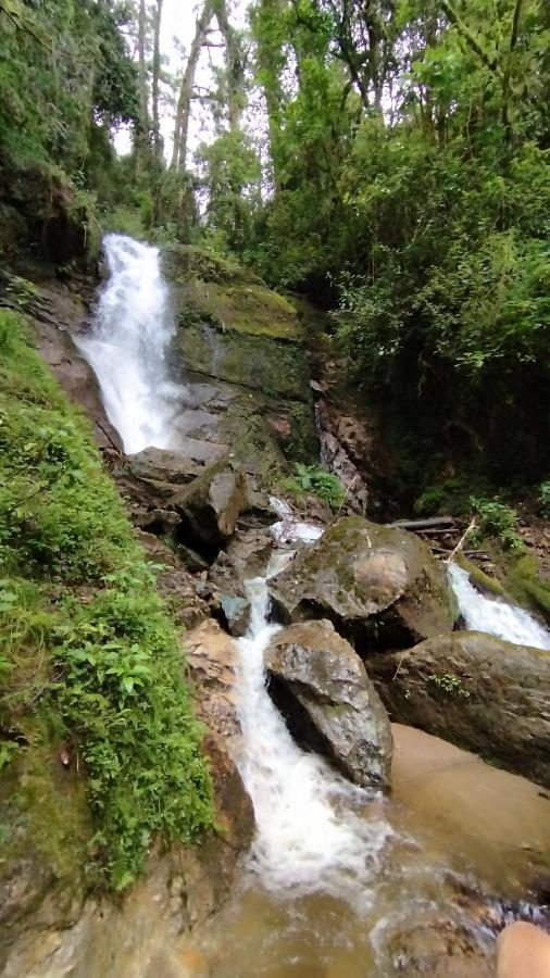 Cabana Anturios San José Exteriér fotografie