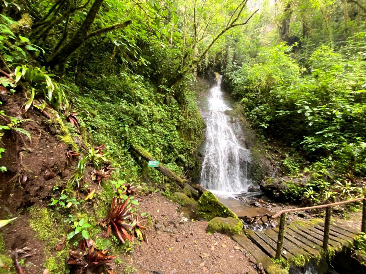Cabana Anturios San José Exteriér fotografie