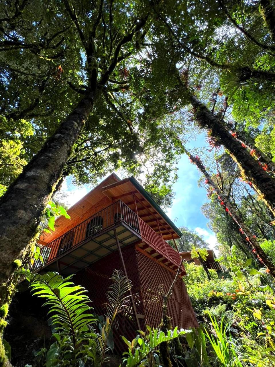 Cabana Anturios San José Exteriér fotografie