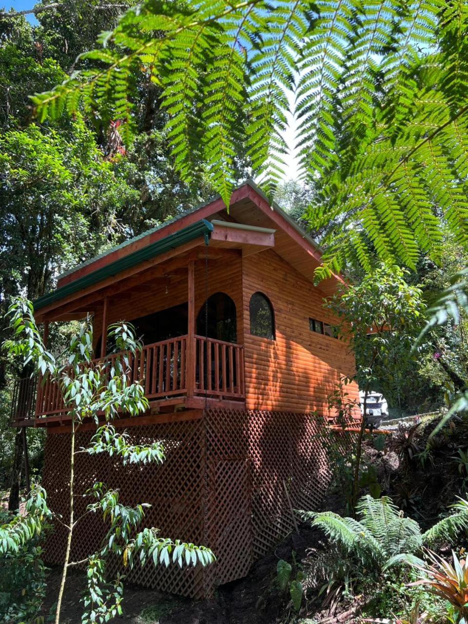 Cabana Anturios San José Exteriér fotografie
