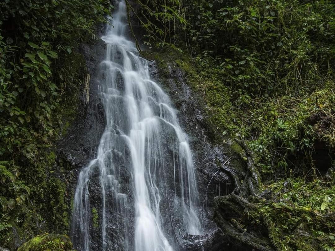 Cabana Anturios San José Exteriér fotografie