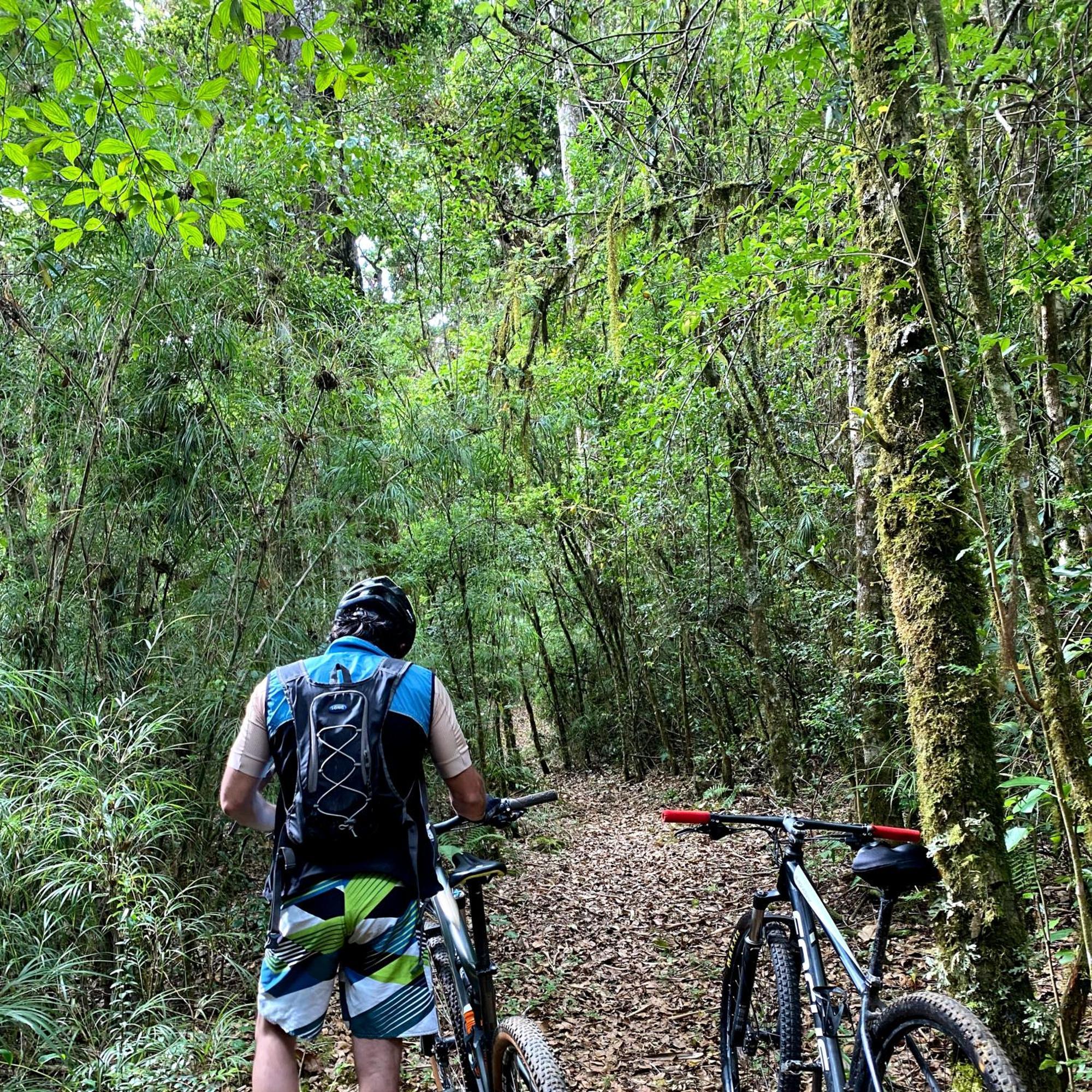 Cabana Anturios San José Exteriér fotografie